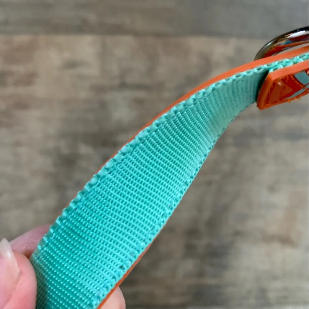 New petmate Easy clean durable dog colllar medium